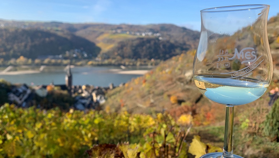 In vino veritas - mit Blick auf Lorchhausen!